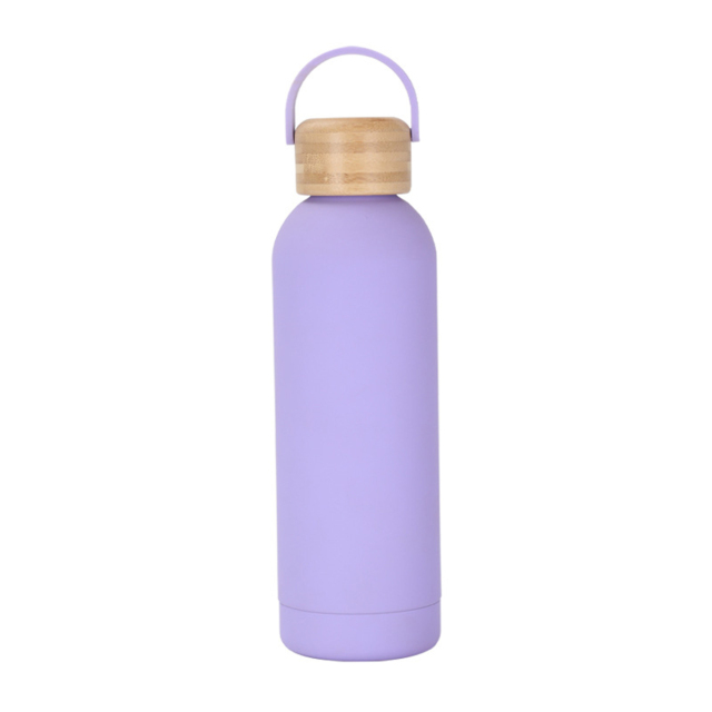 17oz Insulated Water Bottle WIth Bamboo Lid