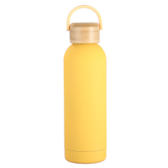 17oz Insulated Water Bottle WIth Bamboo Lid