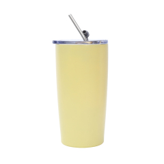 20oz Stainless Steel Tumbler With Lid And Straw