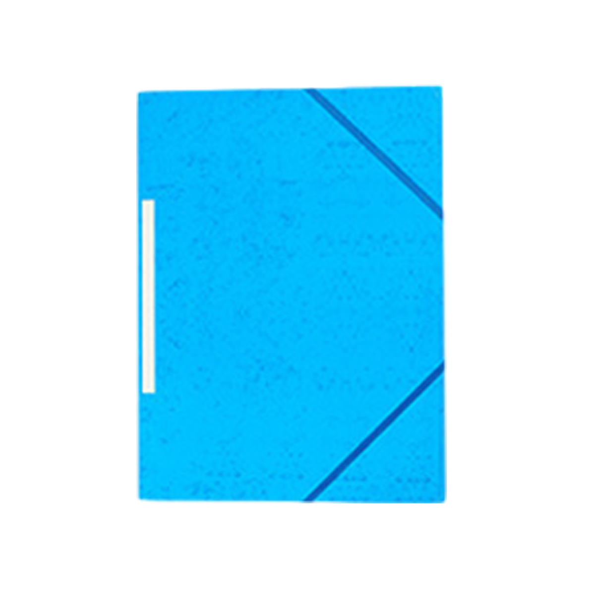 A4 Elastic File Folder