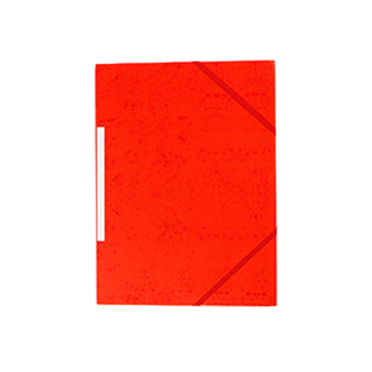 A4 Elastic File Folder