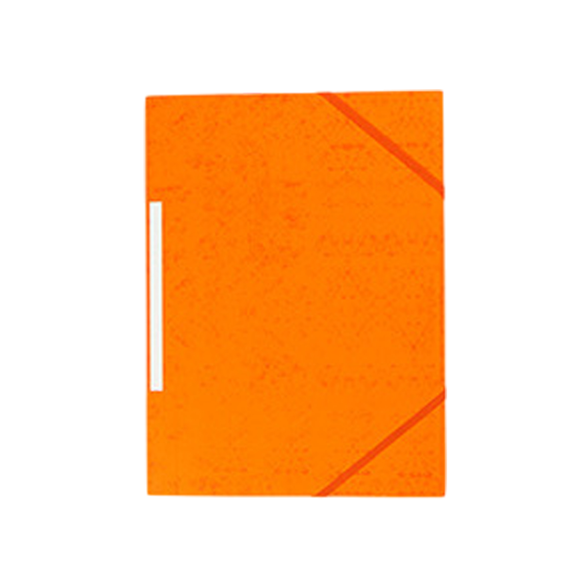 A4 Elastic File Folder