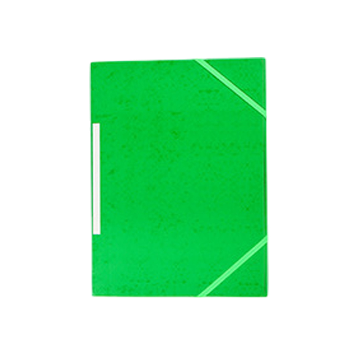 A4 Elastic File Folder