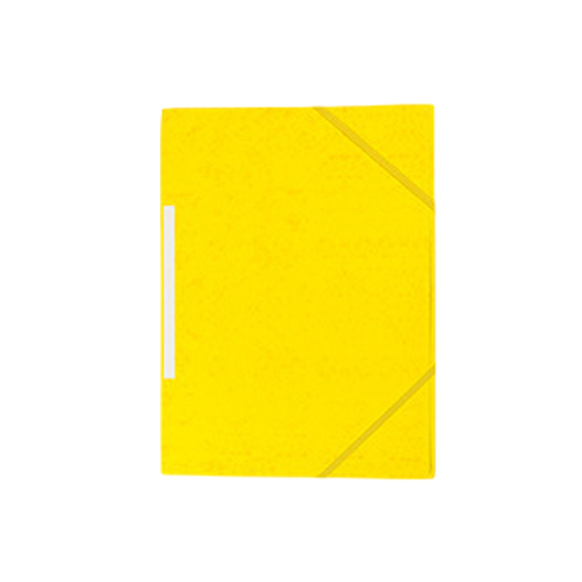 A4 Elastic File Folder