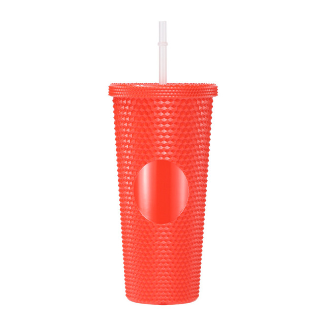 24 Oz Double Layered Insulated Water Cup