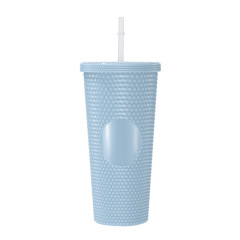 24 Oz Double Layered Insulated Water Cup