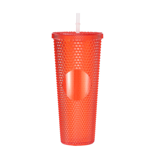 24 Oz Double Layered Insulated Water Cup