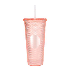 24 Oz Double Layered Insulated Water Cup