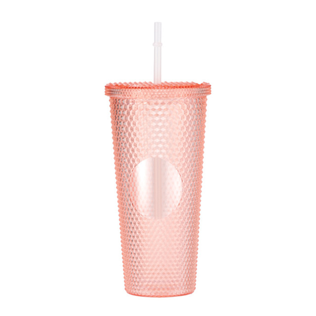 24 Oz Double Layered Insulated Water Cup