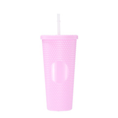 24 Oz Double Layered Insulated Water Cup
