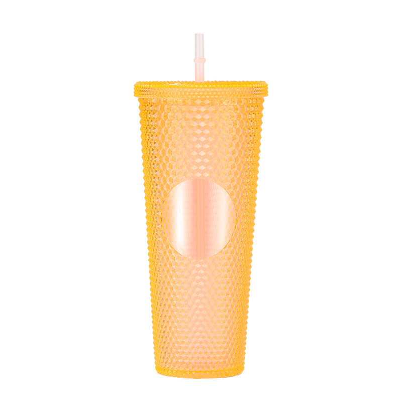 24 Oz Double Layered Insulated Water Cup