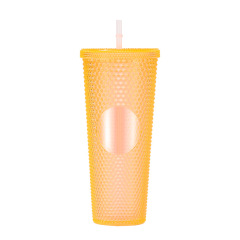 24 Oz Double Layered Insulated Water Cup
