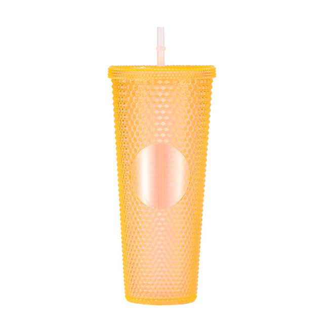 24 Oz Double Layered Insulated Water Cup