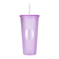 24 Oz Double Layered Insulated Water Cup