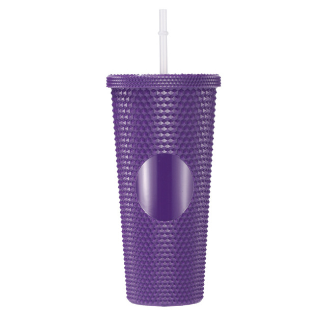 24 Oz Double Layered Insulated Water Cup