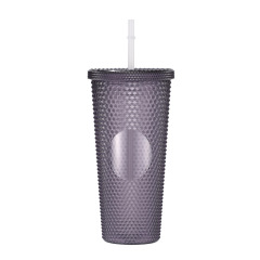 24 Oz Double Layered Insulated Water Cup