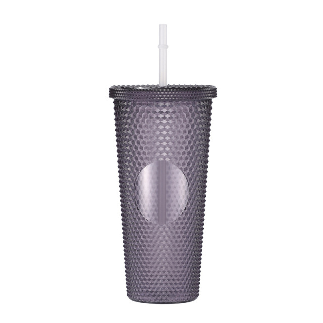 24 Oz Double Layered Insulated Water Cup