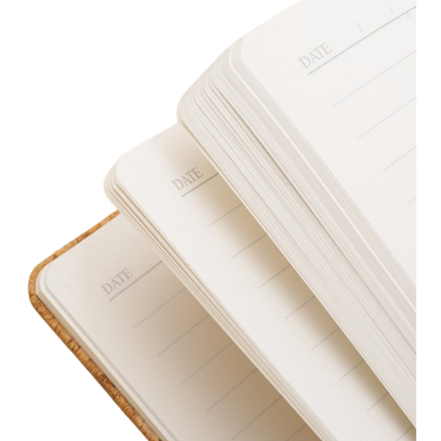 Eco-Friendly Wheat Straw A5 Business Notebook