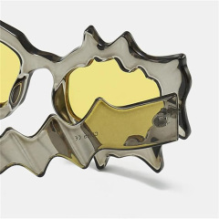 Plastic Irregular Cat Eye Sunglasses
