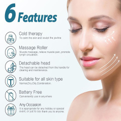 Face Massage Ice Roller