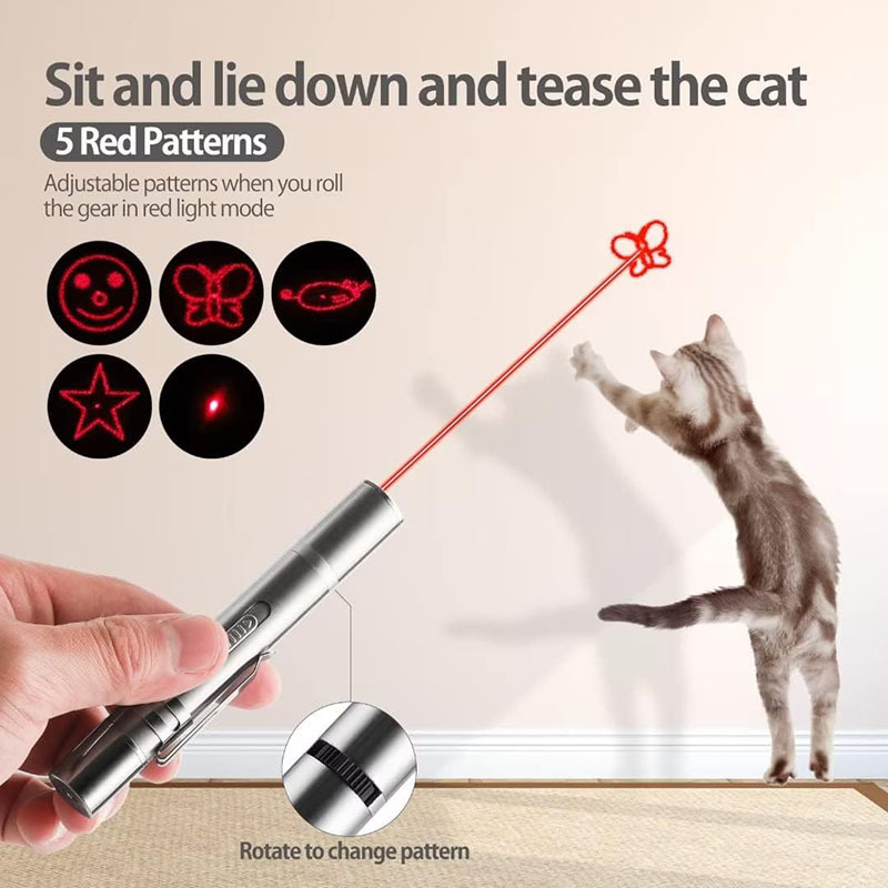 Rechargeable Cat Laser Pointer Pen