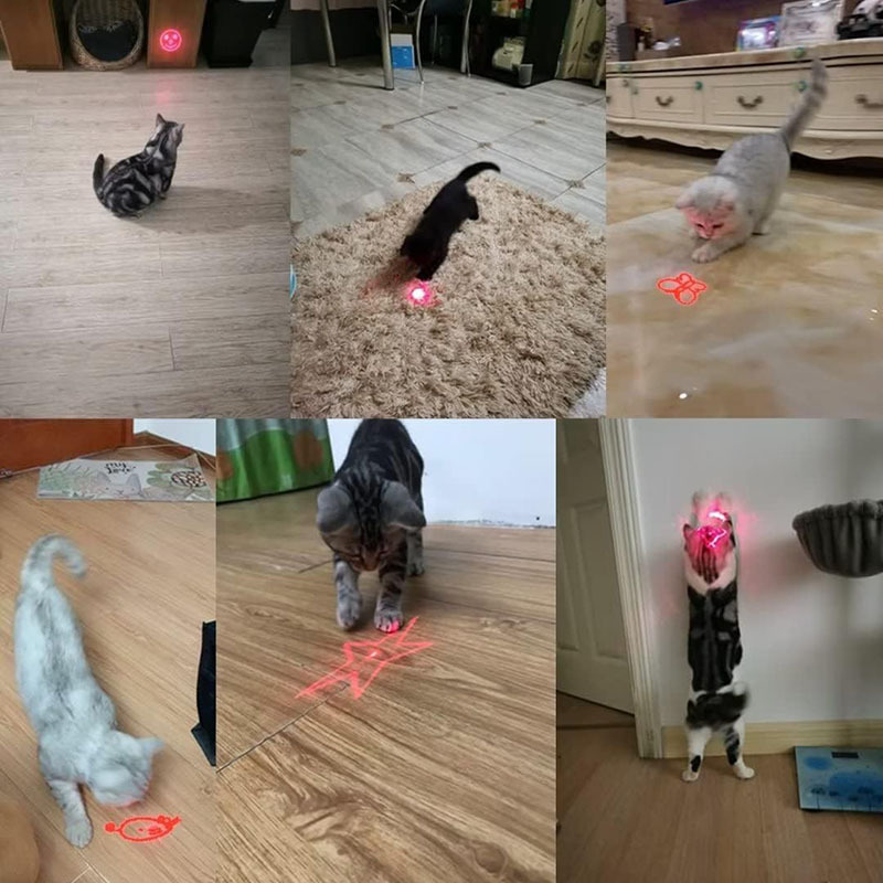 Rechargeable Cat Laser Pointer Pen