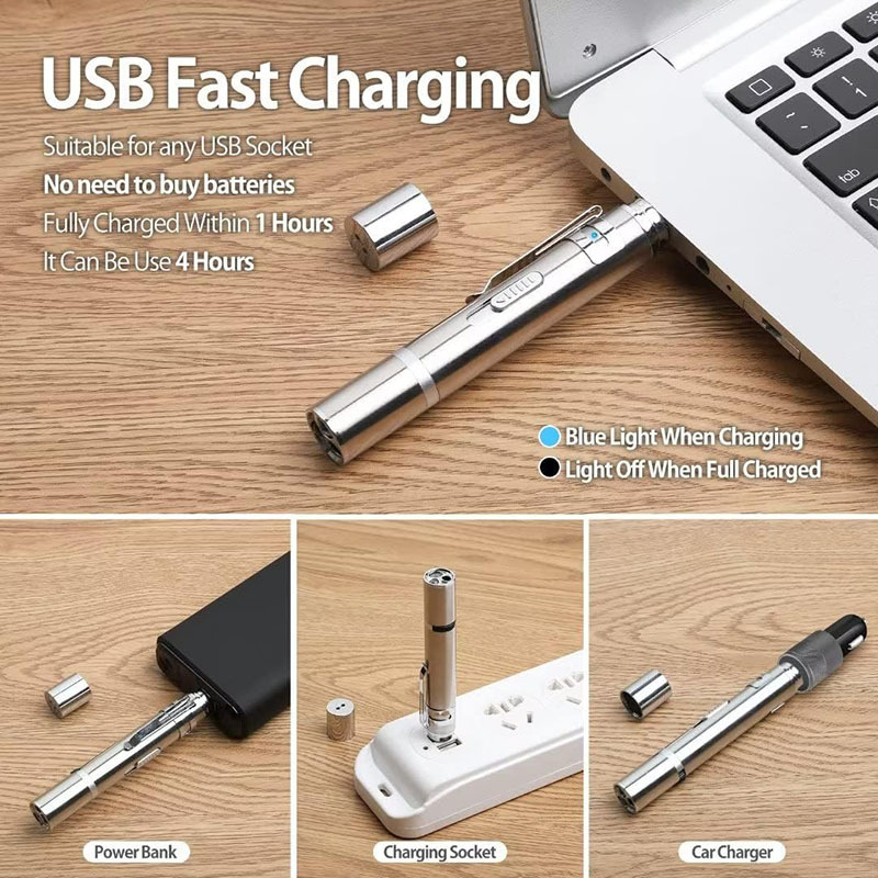 Rechargeable Cat Laser Pointer Pen