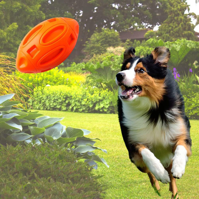 Squeaky Dog Toys