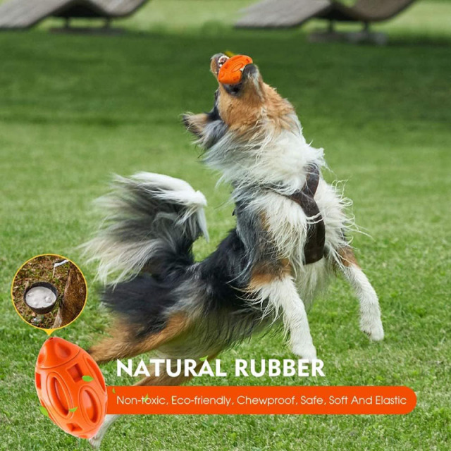 Squeaky Dog Toys