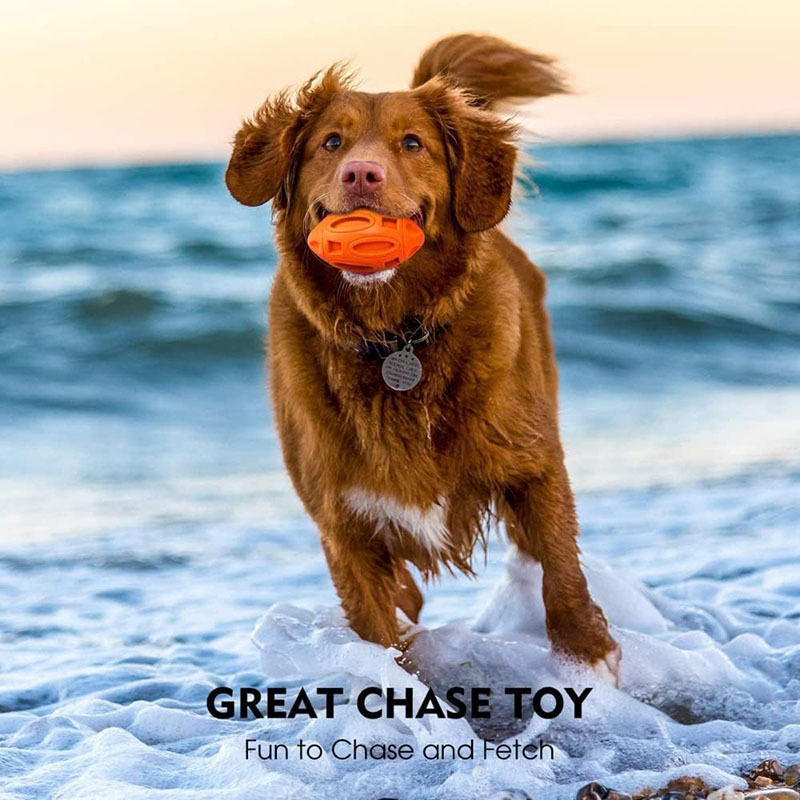 Squeaky Dog Toys