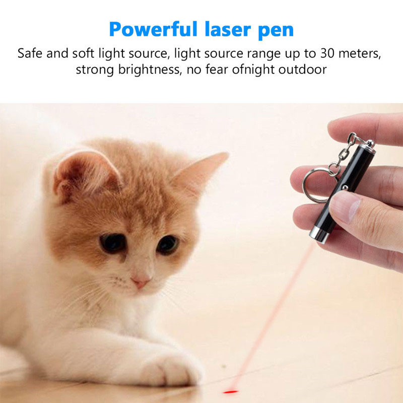 2 In 1 Mini Cat Toy Laser Pointer LED Light