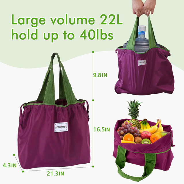 Reusable Grocery Bags