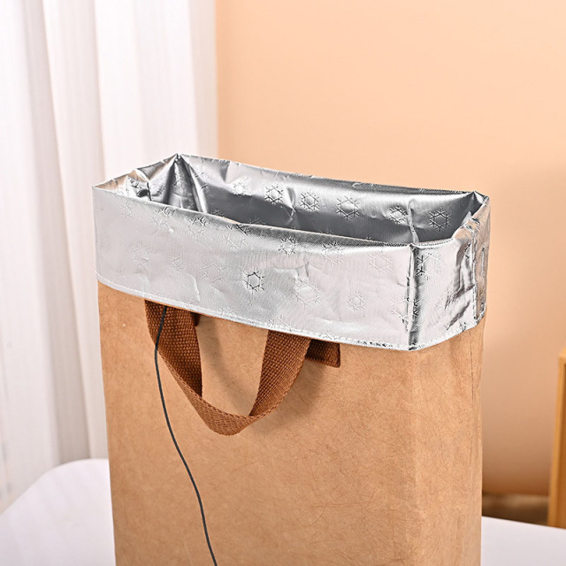 Tyvek Paper Insulated Lunch Bag