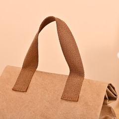 Tyvek Paper Insulated Lunch Bag