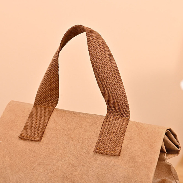Tyvek Paper Insulated Lunch Bag