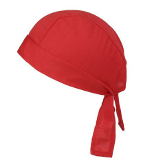 Cooling Sweat Wicking Helmet
