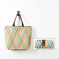 Reusable Shopping Bags with Handles