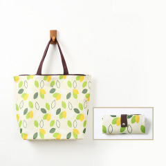 Reusable Shopping Bags with Handles