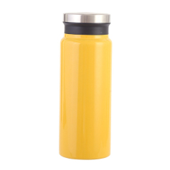 18 Oz. Vacuum Insulated Bottle
