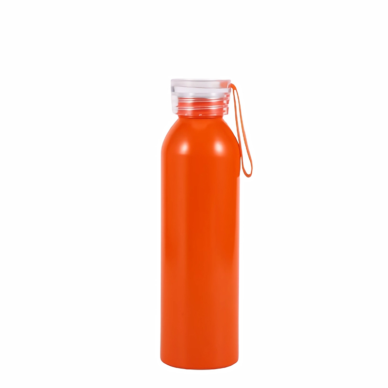 20 Oz. Aluminum Bottle With Handle