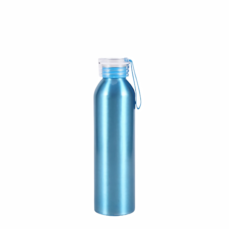 20 Oz. Aluminum Bottle With Handle