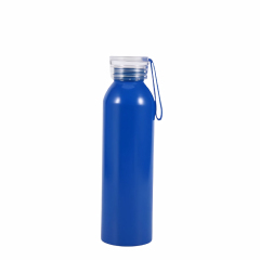 20 Oz. Aluminum Bottle With Handle