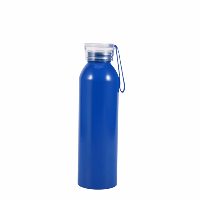 20 Oz. Aluminum Bottle With Handle