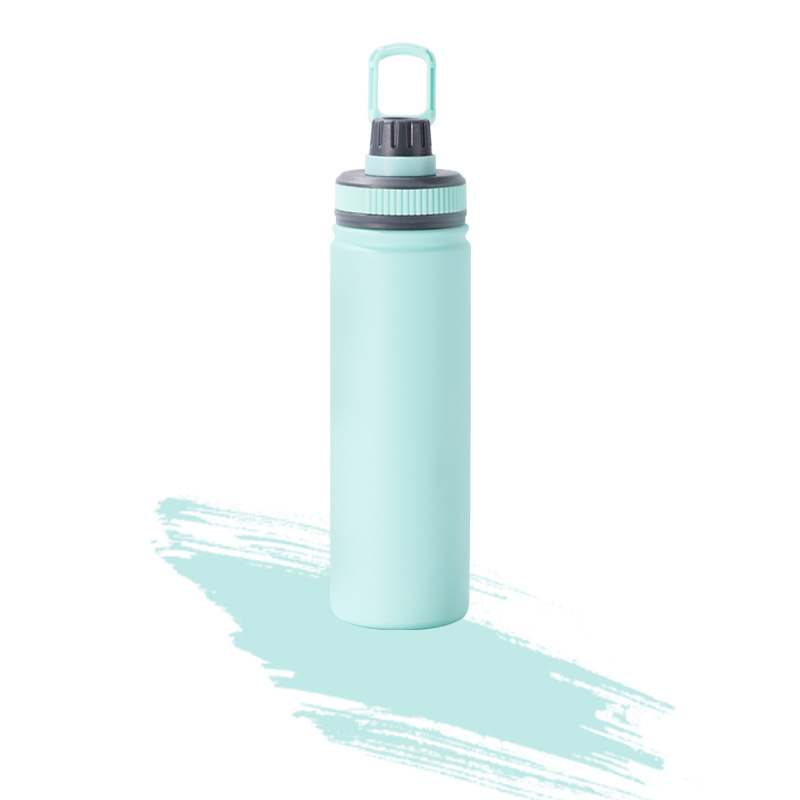 25 Oz. Insulated Bottle With Handle