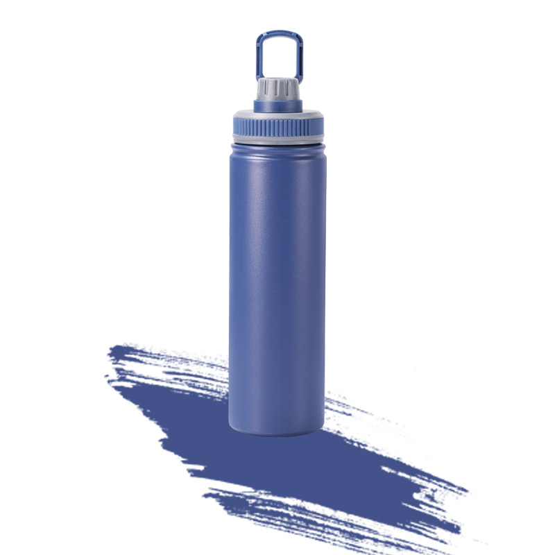 25 Oz. Insulated Bottle With Handle