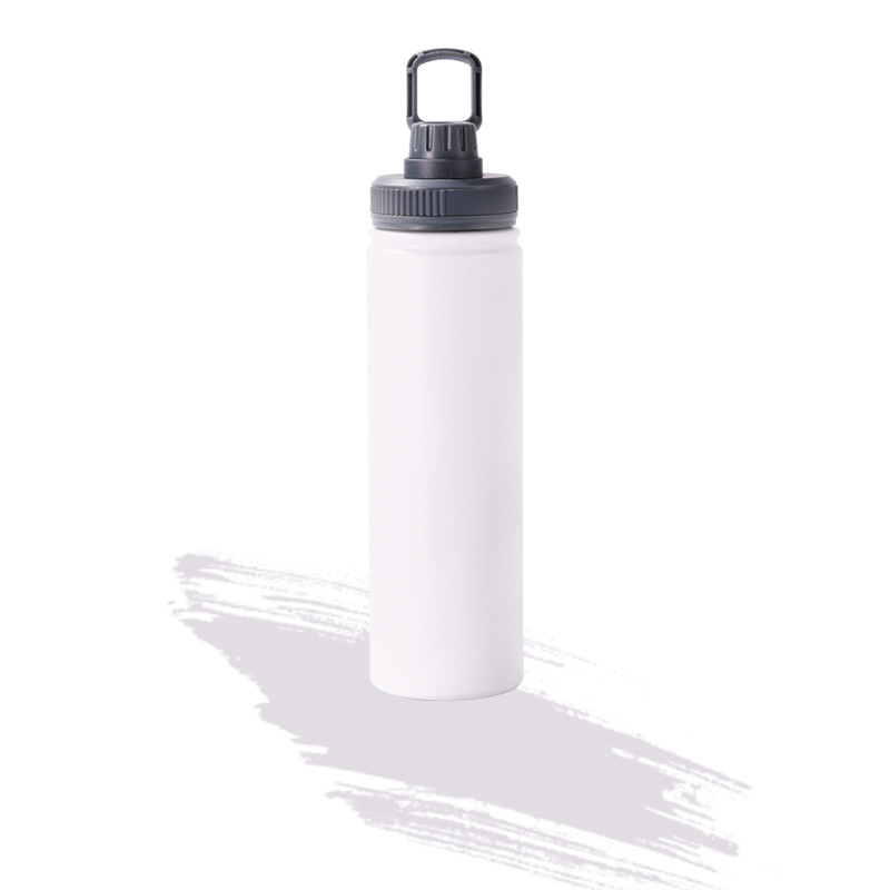25 Oz. Insulated Bottle With Handle