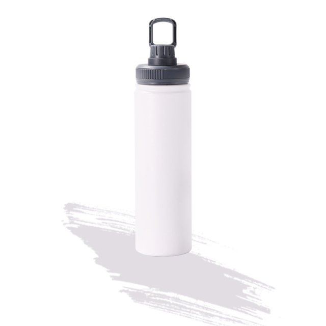 25 Oz. Insulated Bottle With Handle