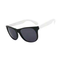 Two Tone Matte Sunglasses