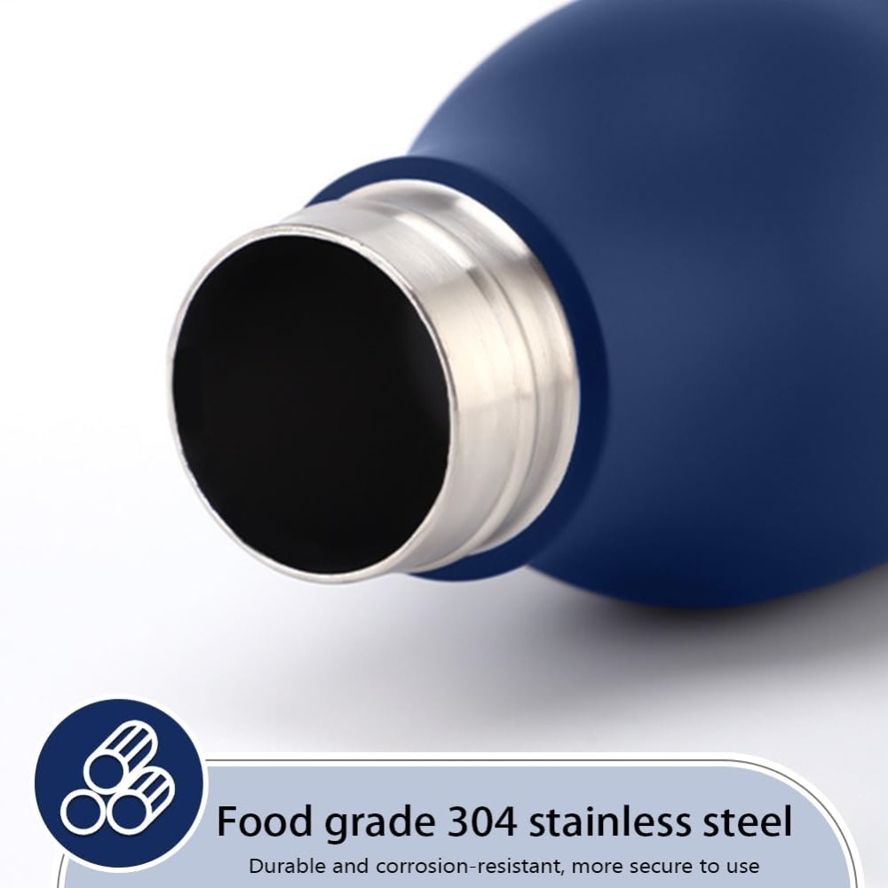 17oz Stainless Steel Insulated Water Bottle