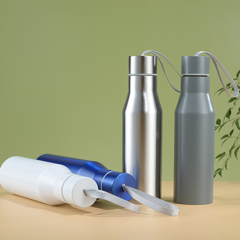 17oz Stainless Steel Insulated Water Bottle